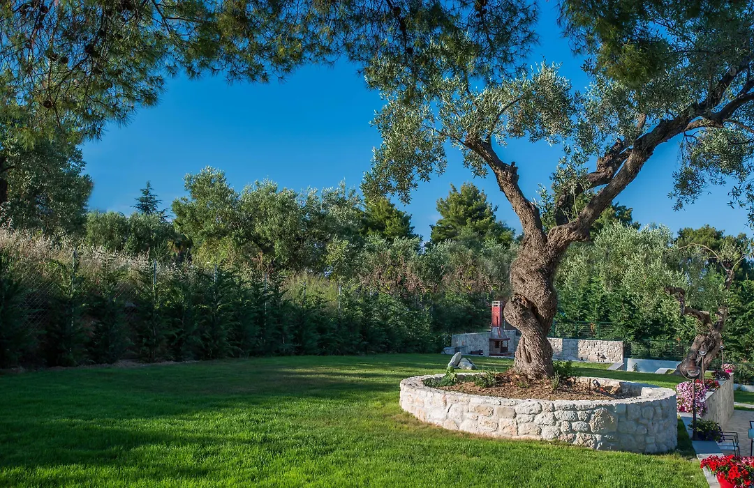 Mirabilia Boutique Hotel-1