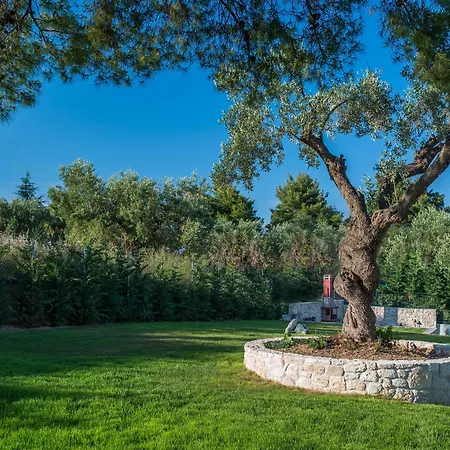 Mirabilia Boutique Hotel-2